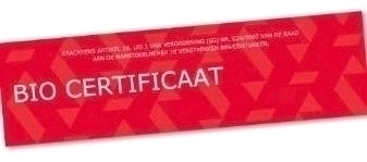 Paragraph image
